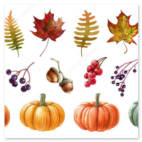 Jesienne barwy liści i dynie w ogrodzie.