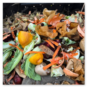 Kompostownik z deskami w kącie działki.