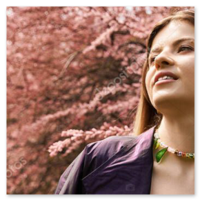 Delikatne wiosenne kwiaty na grządce.