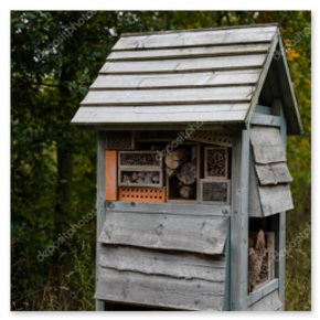 Kwitnące kwiaty letnie i pszczoły zapylające.