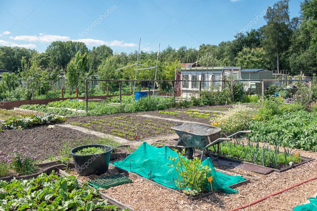 Działka narożna z drzewami owocowymi i altanką.