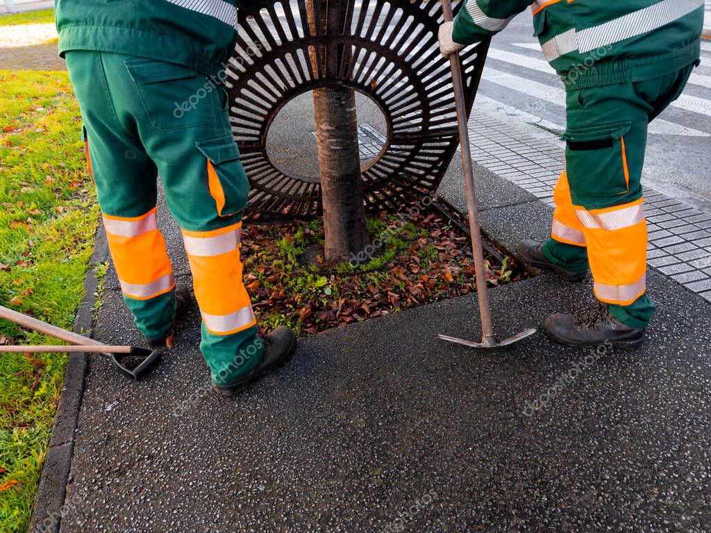 Narzędzia ogrodowe na ścianie w altanie.