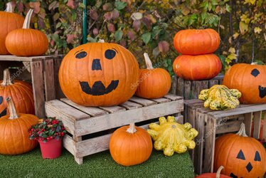 Rodzinne wydarzenie w ogrodzie działkowym z dekoracjami.